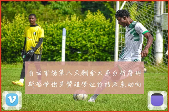 自由市场第八天剩余大鱼分析詹姆斯哈登德罗赞追梦杜伦的未来动向